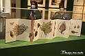 VBS_1201 - Castello di Miradolo - Mostra Oltre il giardino l'Abbecedario di paolo Pejrone